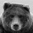 sportsbear