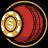 cash365