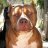 rudy247365